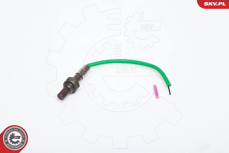 Oxygen Sensor